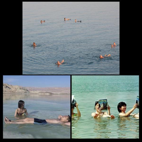 Nadia Hosting Dead Sea Villa Neve Zohar Exterior photo
